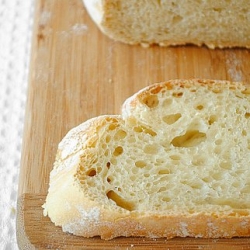 Sourdough No Knead Bread