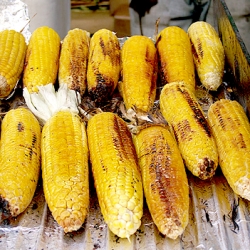 Roasted Corn