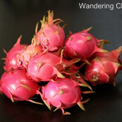 Dragon Fruit