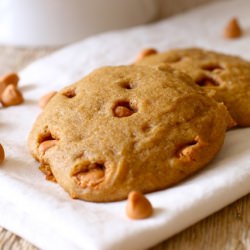 Pumpkin Butterscotch Cookies