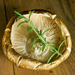 Stuffed Matsutake Mushrooms