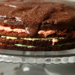 Sugary Sweet Spumoni Cake