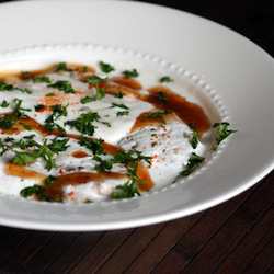 Vada in Yogurt Sauce