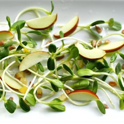 Sunflower Sprout Salad with Jujubes