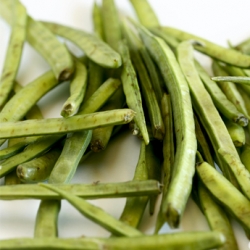 Cluster Bean Curry in Sesame Paste