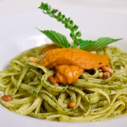 Shiso Pesto Pasta