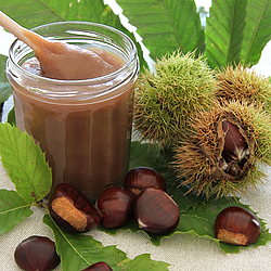 Chestnut Jam