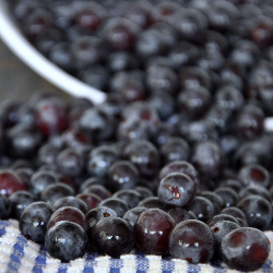 Brandy Infused Concord grapes