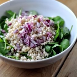 Fresh Barley and Arugula Salad