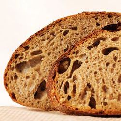 Whole Wheat Bread