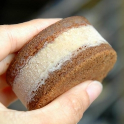 Chocolate Pumpkin Ice Cream Sandwich