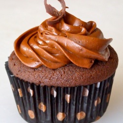 Double Chocolate Cupcakes