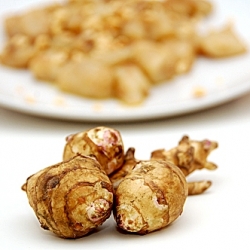 Gnocchi with Jerusalem Artichokes