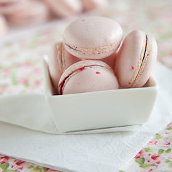 Pink Macarons