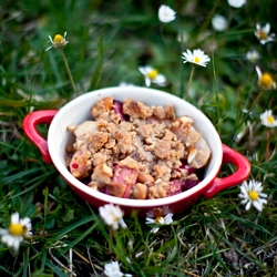 Apple, Rhubarb & Raspberry Crumble