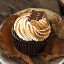 S’mores Cupcakes