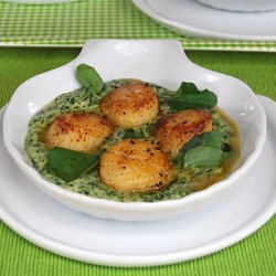 Maple Scallop w/ Watercress Sauce