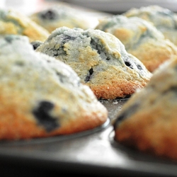 Blueberry Muffins