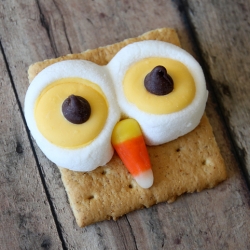 Owl Smores