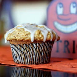 Maple Pumpkin Oat Muffins