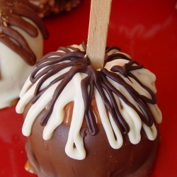 Caramel Apples Dipped in Chocolate