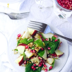 Barley and Spinach Fall Salad