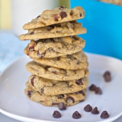 Chewy Chocolate Chip Cookies