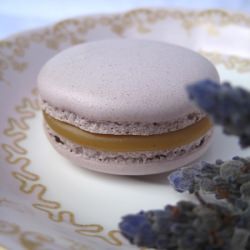 Lavender Grey Macaron