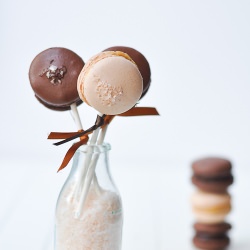 Macaron Pops