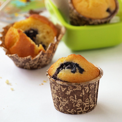 Blueberry Orange Muffins