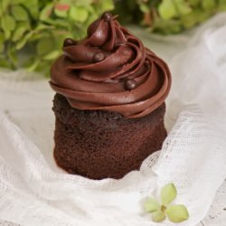 Ultimate Dark Chocolate Cupcakes