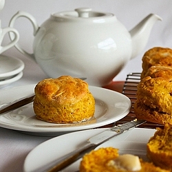 Pumpkin Scones