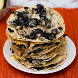 Huitlacoche Quesadilla