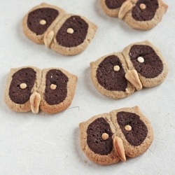 Hoot Owl Cookies