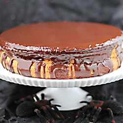 Boston Cream Pie