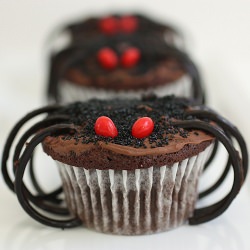 Creepy Spider Cupcakes