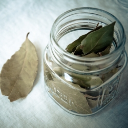 Bay Leaves for Tomato Sauce