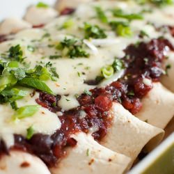 Turkey and Cranberry Enchiladas