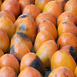 Hoshigaki: The Kobe Beef of Persimmons