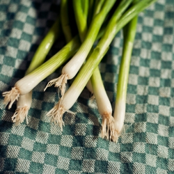 Ginger Scallion Sauce Video