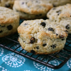 Wild Blueberry Scones