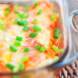 Cream Cheese Chicken Enchiladas