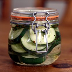 Refrigerator Pickles