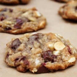 The Oatmeal Cookie Bake Off