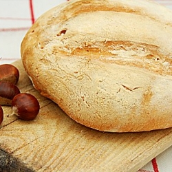 Flour of Durum Wheat Bread