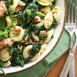 Spicy Sausage and Rapini Pasta