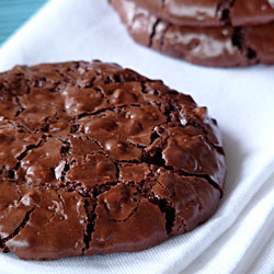 Cocoa Cookies