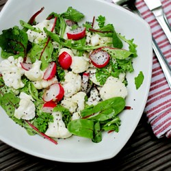 Cauliflower, Radishes and Chard