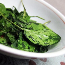 Oven Baked Spinach Chips