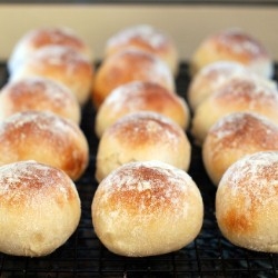 Homemade Dinner Rolls